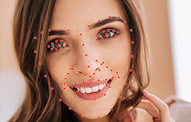 耀世平台人脸关键点标注